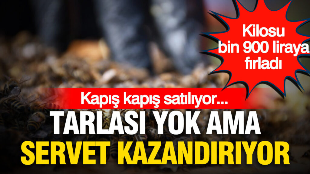 Tarlası yok ama servet kazandırıyor: Kilosu bin 900 liraya fırladı, kapış kapış satılıyor